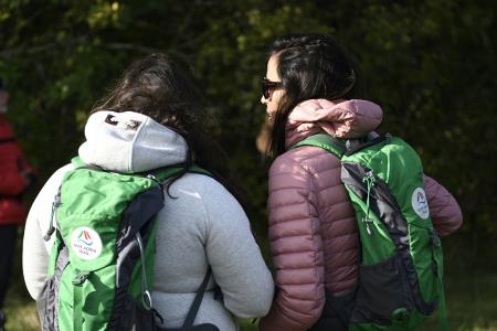 AlpeAdria_Trebce-Lipica